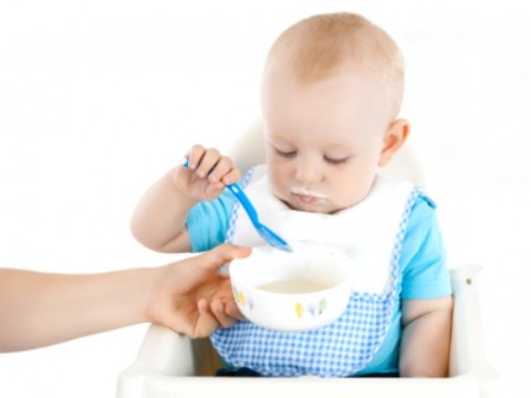 Baby Food Allergies