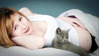 Stay safe and healthy with cats during pregnancy